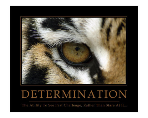 neil-bramley-determination-eye-of-the-tiger