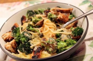 chicken-broccoli-alfredo-entree-recipe