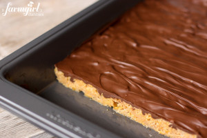 Peanut Butter Cereal Bars with {the best} Chocolate Frosting